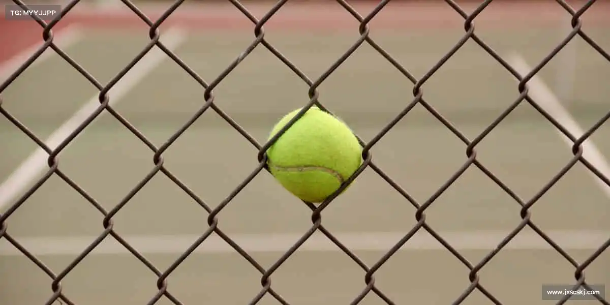 为什么选择我们